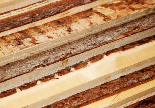 legno grezzo, corteccia, © luigi tremolada
