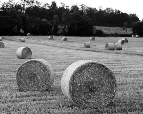 fotografo monza e brianza, luigi tremolada